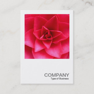 Carte De Visite Photo carré 0145 - Camelie rouge