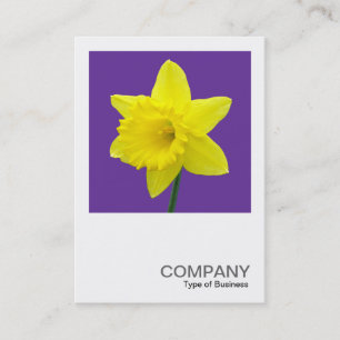 Carte De Visite Photo carré 014 - Daffodil