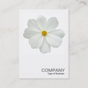 Carte De Visite Photo carré 0161 - Fleur de cosmos blanc