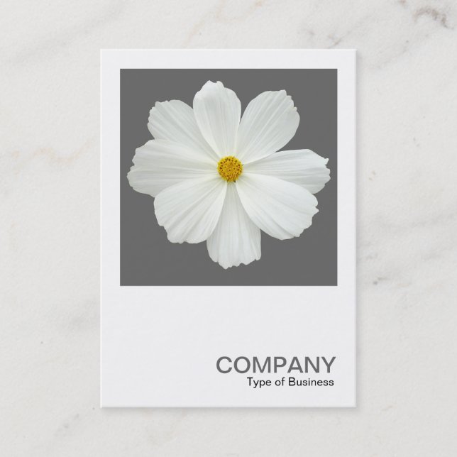 Carte De Visite Photo carré 0162 - Fleur de Cosmos sur Grey (Devant)