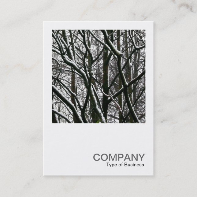 Carte De Visite Photo carré 0176 - Branches avec neige (Devant)
