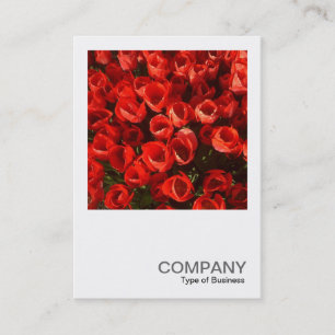 Carte De Visite Photo carré 01 - Tulipes