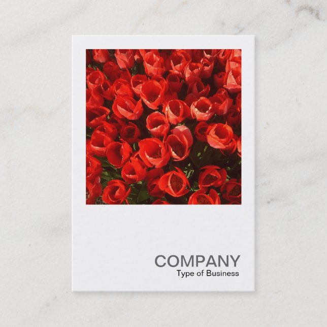 Carte De Visite Photo carré 01 - Tulipes (Devant)