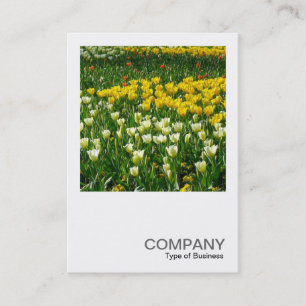 Carte De Visite Photo carré 0200 - Fleurs de printemps