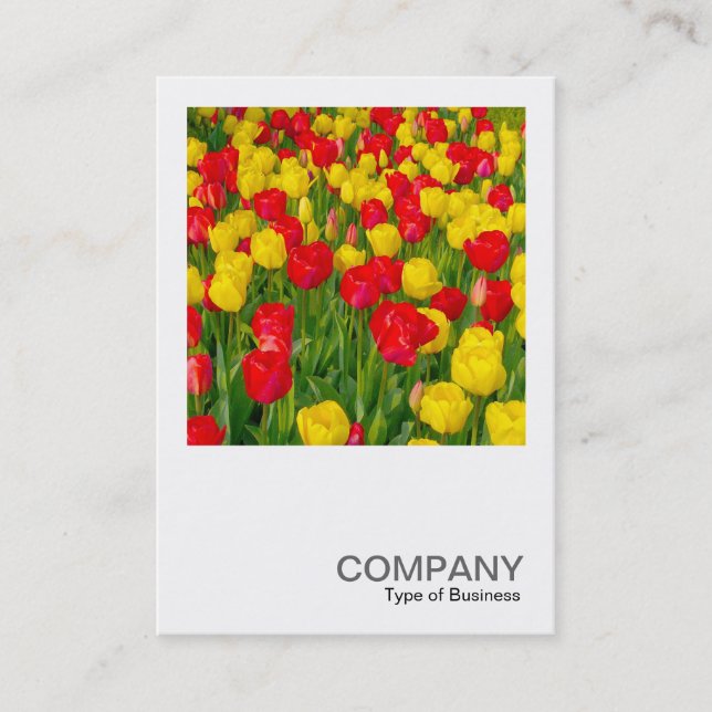 Carte De Visite Photo carré 0220 - Tulips (Devant)