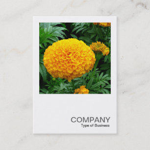 Carte De Visite Photo carré 0240 - Orange Chrysanthemum