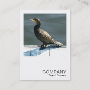 Carte De Visite Photo carré 0250 - Cormorant