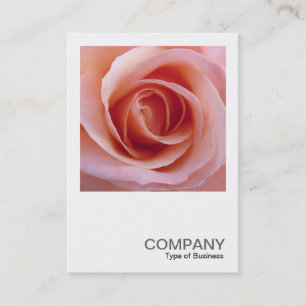 Carte De Visite Photo Carré 0255 - Rose rose