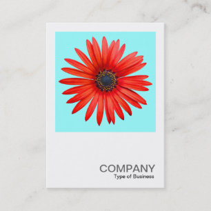 Carte De Visite Photo carré 0344 - Diable rouge sur bleu glace