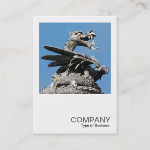 Carte De Visite Photo carré 0362 - Dragon, Hôtel de Ville de Cardi