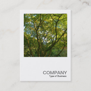 Carte De Visite Photo carré 0376 - Branches japonaises