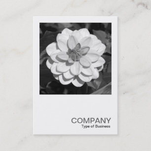 Carte De Visite Photo carré 0378 - Dahlia 'David Howard'