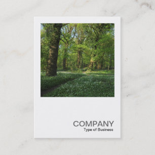 Carte De Visite Photo carré 0472 - Printemps dans les bois