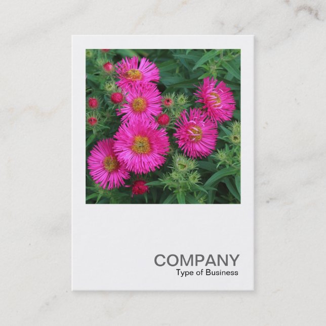 Carte De Visite Photo carré 0492 - Michaelmas Daisies (Devant)