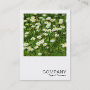 Carte De Visite Photo carré 0513 - Pré Daisy