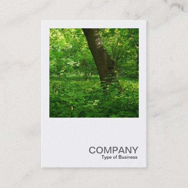 Carte De Visite Photo carré 092 - Printemps dans les bois (Devant)