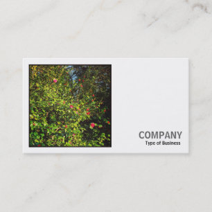 Carte De Visite Photo carré (v2) - Camellia Bush 02