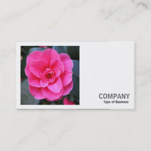 Carte De Visite Photo carré (v2) - Camellia rose