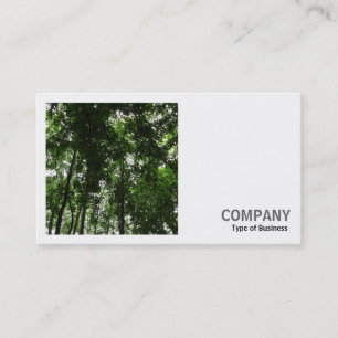 Carte De Visite Photo carré (v2) - Canopée forestière 01