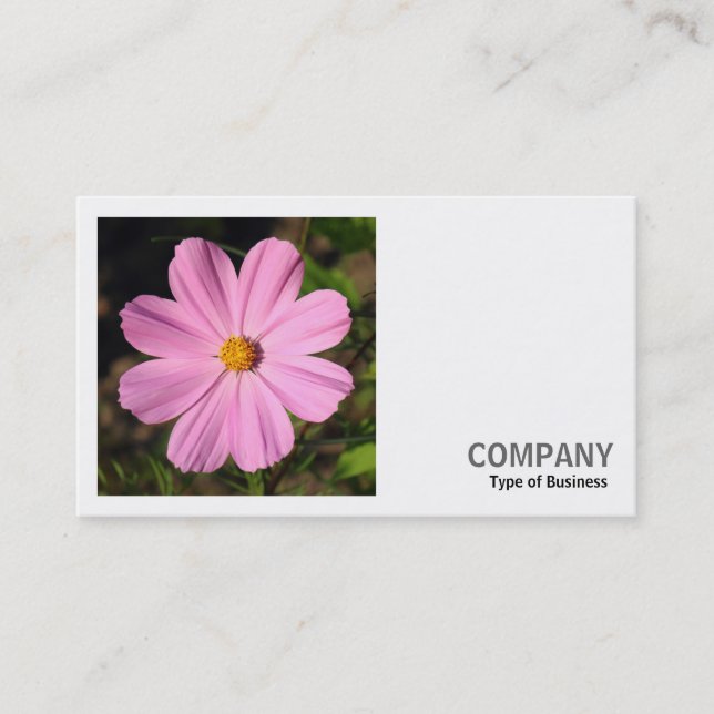 Carte De Visite Photo carré (v2) - Cosmos rose (Devant)