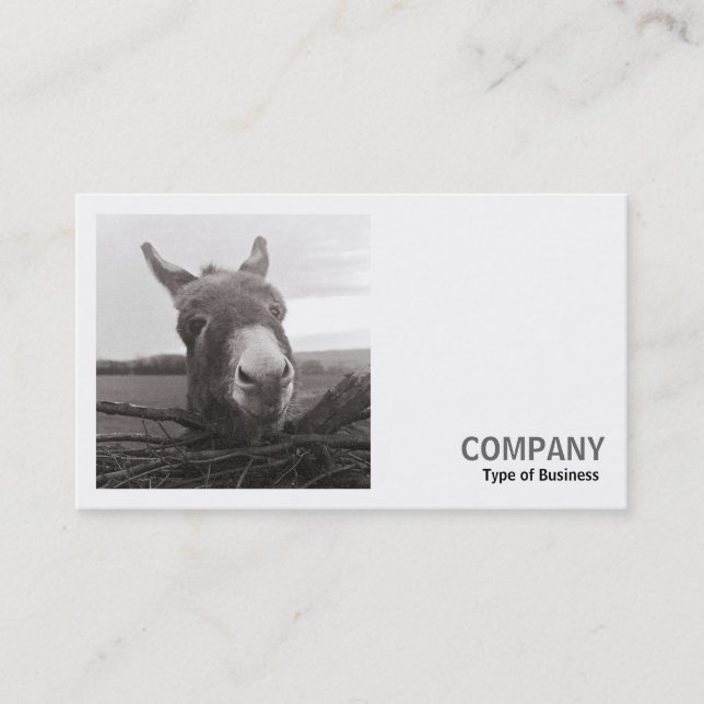 Carte De Visite Photo carré (v2) - Donkey amical (Devant)
