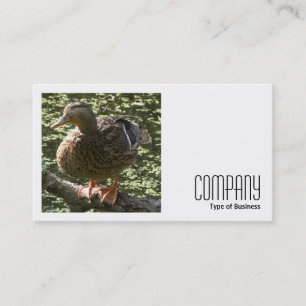 Carte De Visite Photo carré (v2) - Happy Duck