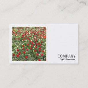Carte De Visite Photo carré (v2) - Lit de tulipes