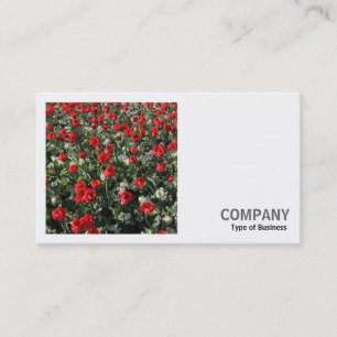 Carte De Visite Photo carré (v2) - Tulipes rouges et Primroses