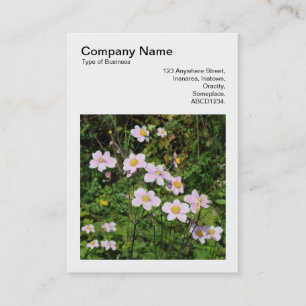 Carte De Visite Photo carré (v3) - Anémones roses