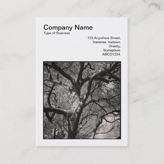 Carte De Visite Photo carré (v3) - Branches de l'arbre Magnolia (Devant)