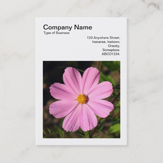 Carte De Visite Photo carré (v3) - Cosmos rose (Devant)