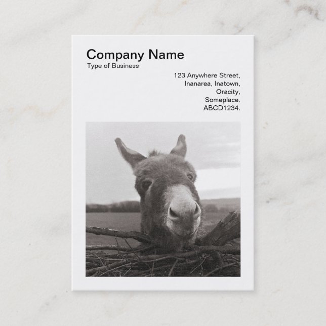 Carte De Visite Photo carré (v3) - Donkey amical (Devant)