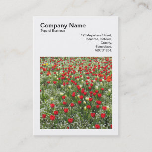 Carte De Visite Photo carré (v3) - Lit de tulipes