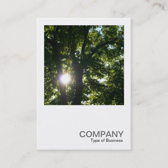 Carte De Visite Photo carrée 0254 - Sun par des arbres (Devant)