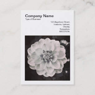 Carte De Visite Photo carrée (v3) - chrysanthème
