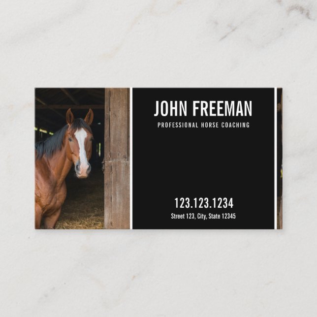Carte De Visite Photo Cheval Moderne Coaching Equine (Devant)