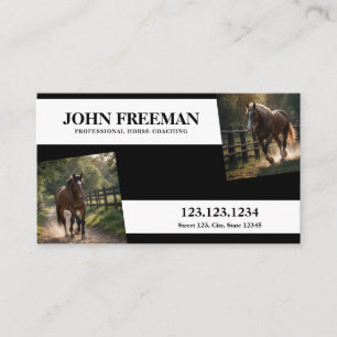 Carte De Visite Photo Cheval noir et blanc moderne Equine
