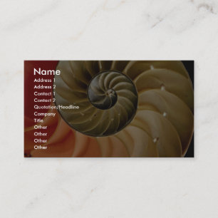 Carte De Visite Photo de coquille de Nautilus