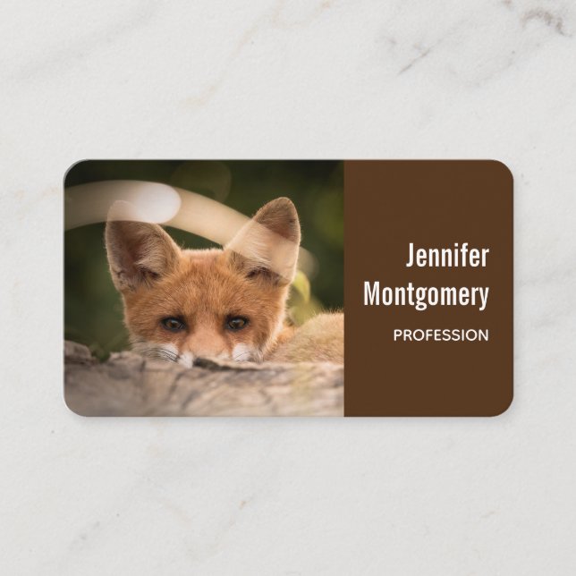 Carte De Visite Photo de Cute Little Orange Fox (Devant)