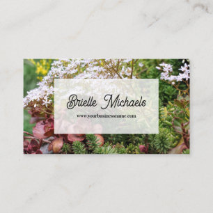 Carte De Visite Photo de jardin succulent