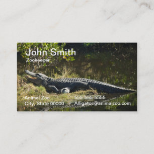 Carte De Visite Photo de la nature d'un alligator américain se rep