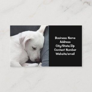 Carte De Visite Photo du chien mignon dormant noir et blanc