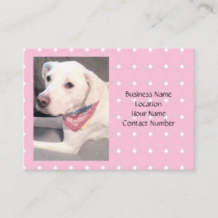 Carte De Visite Photo du magnifique chien blanc élégant portant l'