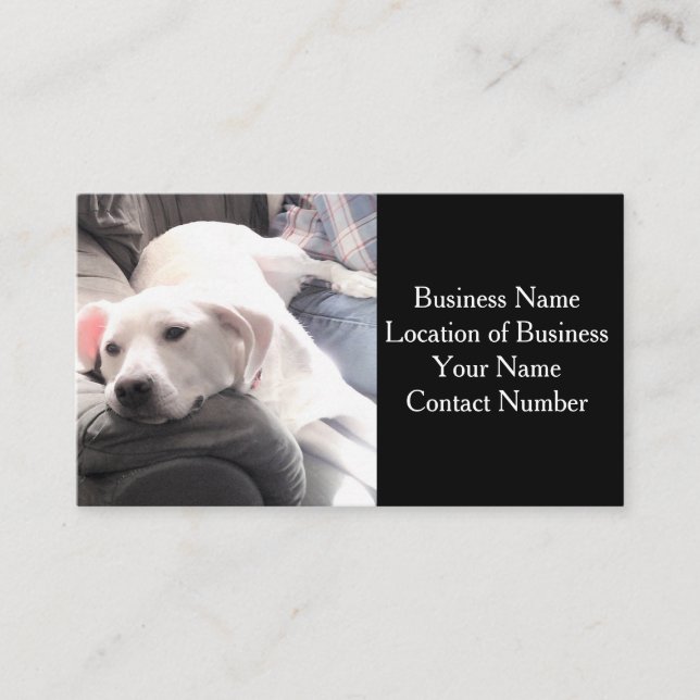 Carte De Visite Photo d'un chien blanc mignon sur un canapé noir (Devant)
