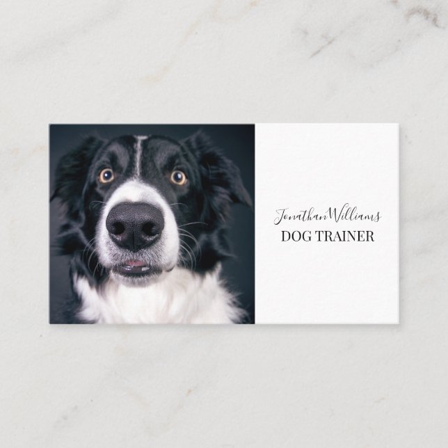 Carte De Visite Photo D'Un Entraîneur De Chien Ou D'Un Comportemen (Devant)
