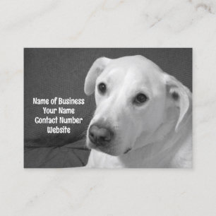 Carte De Visite Photo en noir et blanc d'un beau chien à l'âne