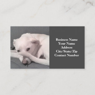 Carte De Visite Photo Funny White Dog with Tail on Face Grey