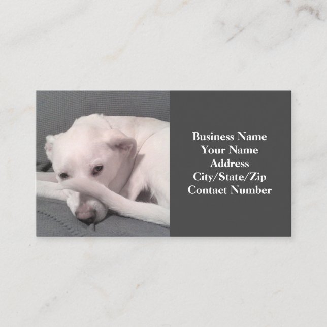 Carte De Visite Photo Funny White Dog with Tail on Face Grey (Devant)