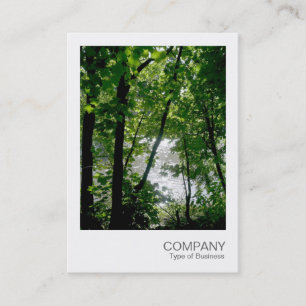 Carte De Visite Photo instantanée 020 - Arbres d'une rivière