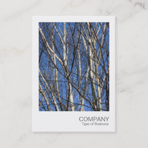 Carte De Visite Photo instantanée 05 - Branches de bouleau